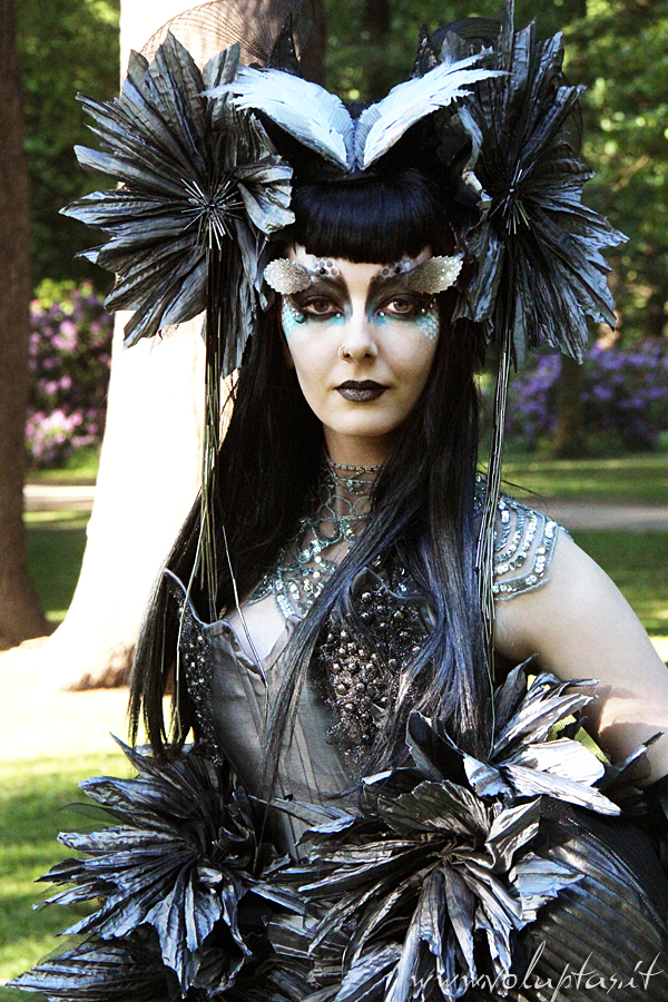 WGT_2012 560web